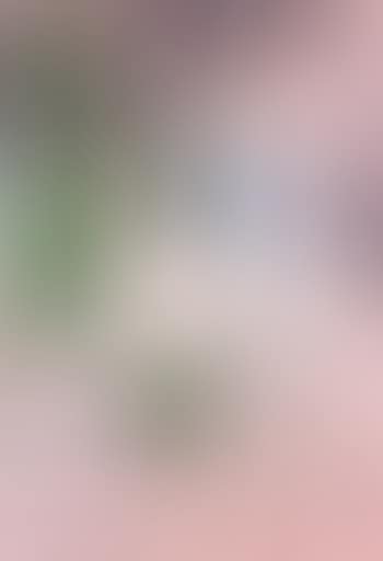 Springtime, face a la mer (preview)