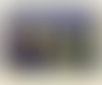 Paysage aux arbres (preview)