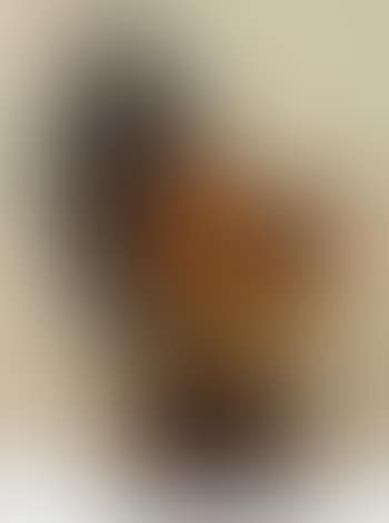 Untitled (preview)