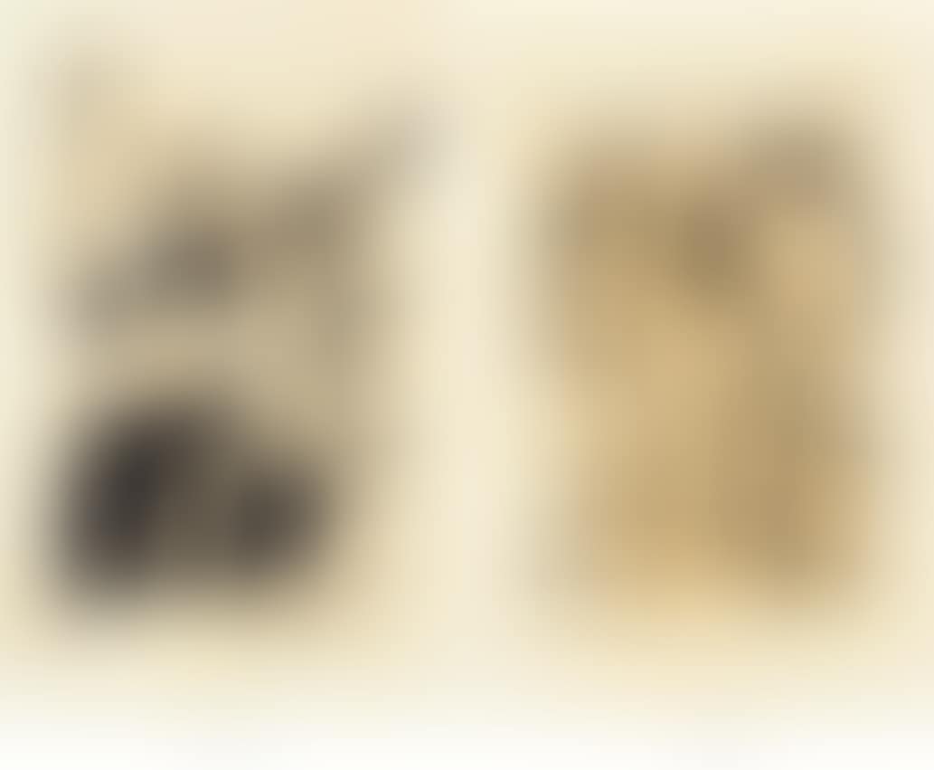 Untitled - P12 (preview)