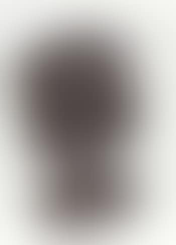 Blurred Campbell's tomato soup (preview)