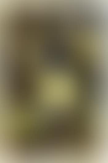M D gelben Fenster- Yellow windows (preview)