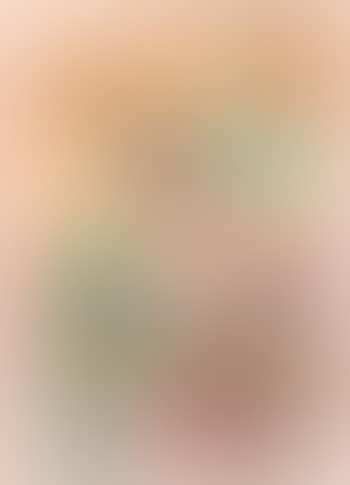 Untitled (preview)
