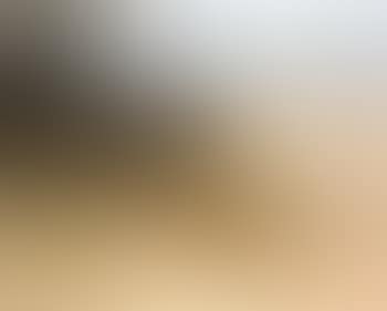 Lion and lioness stalking zebra herd (preview)