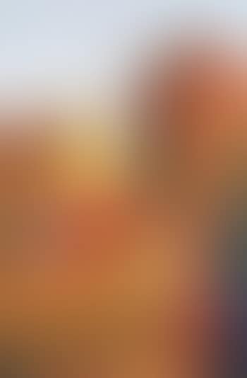 Landscape (preview)