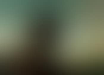 Tree on a rock (preview)