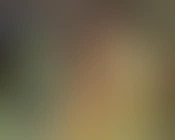 Children playing with cat (preview)