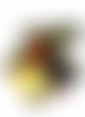 Chodorow V (preview)