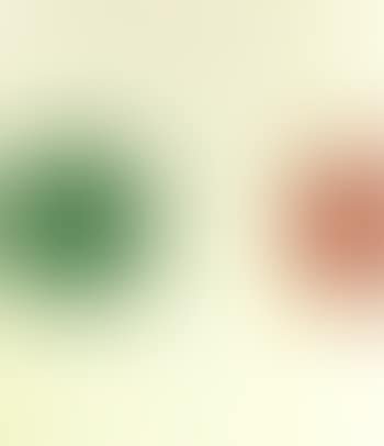 Spot painting (preview)
