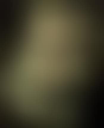 Still life with lillies (preview)