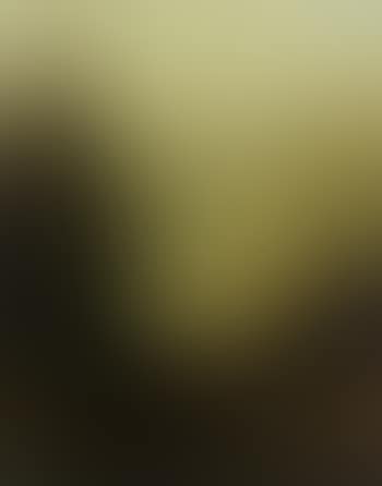 Tessin (preview)