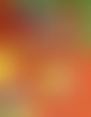 Composition (preview)