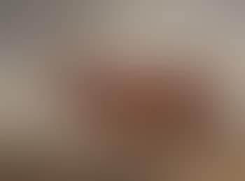 A Devonshire cow (preview)