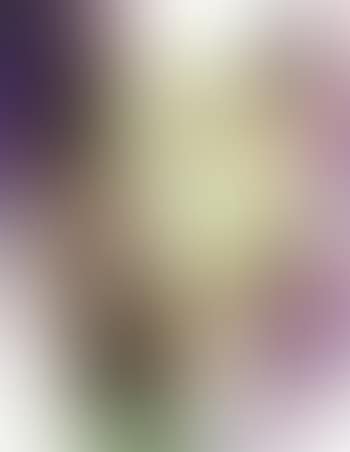 Face (preview)
