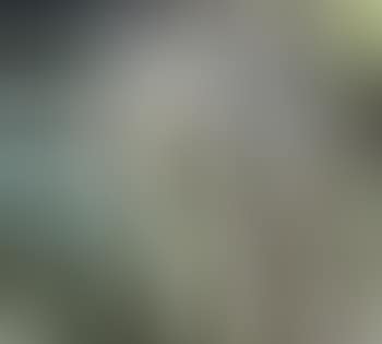 Donne (preview)