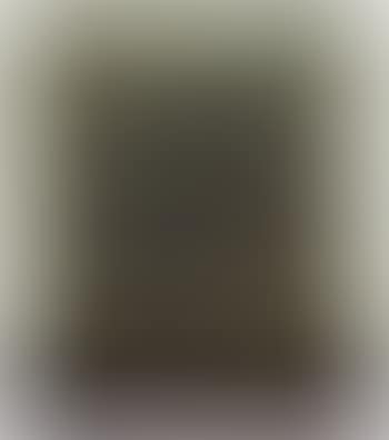 Untitled (preview)