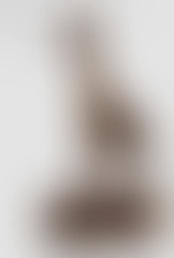 Giraffe (preview)
