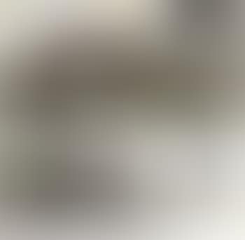 Scenery. Still life (preview)