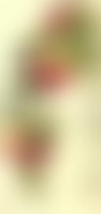 Peaches (preview)