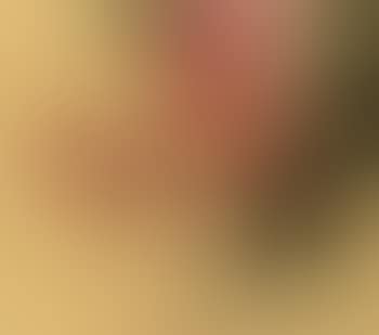Flowers. Fruit (preview)
