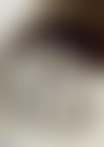 He tried to internalise everything (preview)