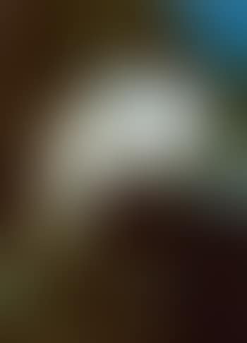 Untitled No.115 (preview)