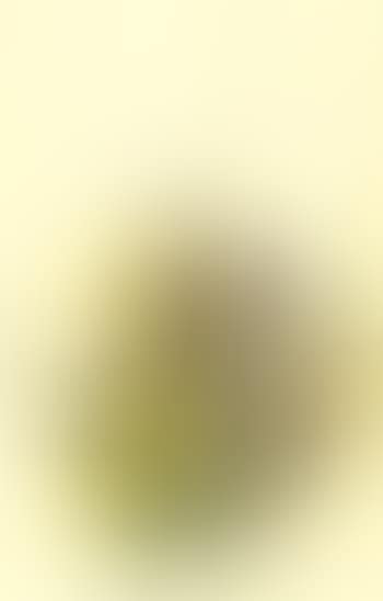 Nosegay (preview)