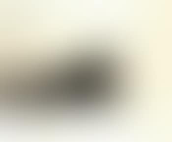 The artist's dog, Black Tiger (preview)