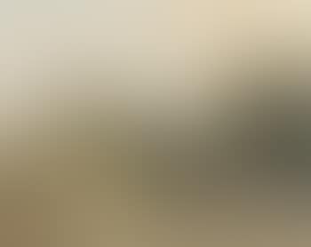 Figure on horseback in wooded landscape (preview)