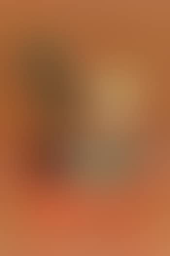 Still life with fruit and sun-flower (preview)