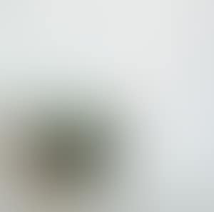 Composition (preview)
