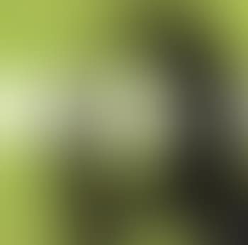 Mona Lisa (preview)