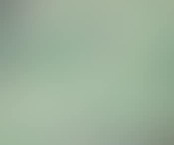 Harmonie verte (preview)