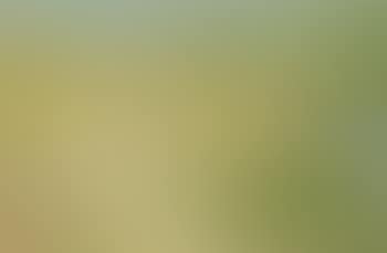 Paysage de Cassis (preview)