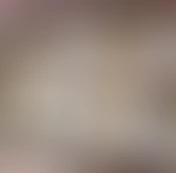 Les arbres devant le port (preview)