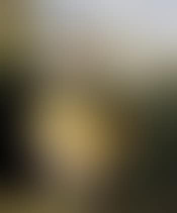 Danseuse (preview)