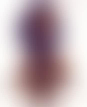 Dog (preview)