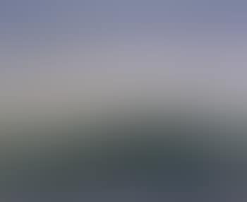 Landscape (preview)