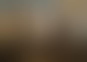 Portrait of a dressage stallion in a landscape (preview)