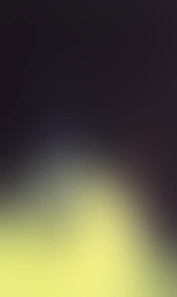 T1965-H13 (preview)
