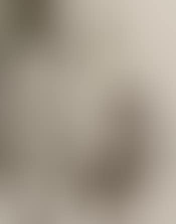 Announcement (preview)