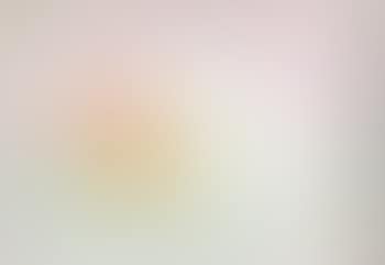 Untitled - still life (preview)