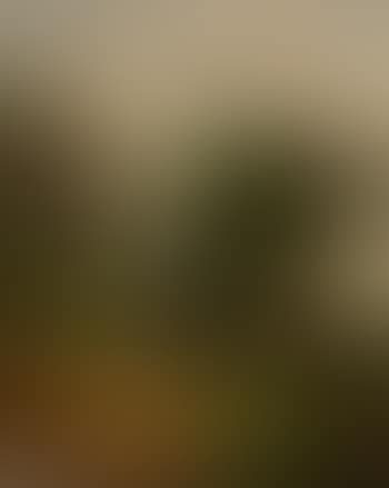 Path in a landscape (preview)