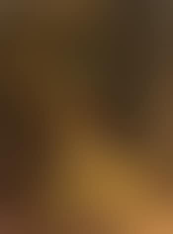 Woodland landscape (preview)