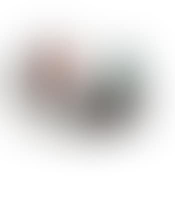 Palette, Vincent and Theo (preview)
