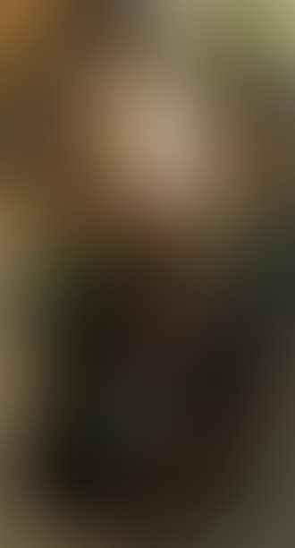 Violonist (preview)