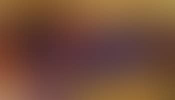 Corrida au soleil (preview)