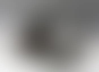 Oiseau a la branche (preview)