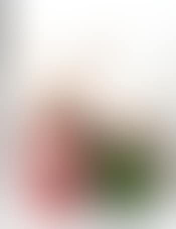Inflatable flower and bunny (preview)