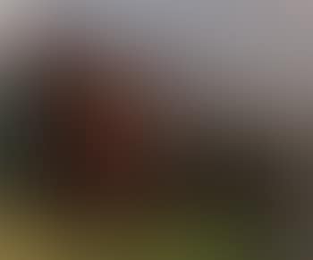 Landscape with red tree (preview)
